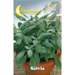 Semi Orto Salvia