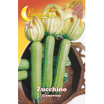 Semi Orto Zucchino Genovese