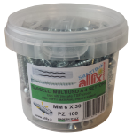 Allfix 100 Tasselli C/Viti F4 Mm.6*